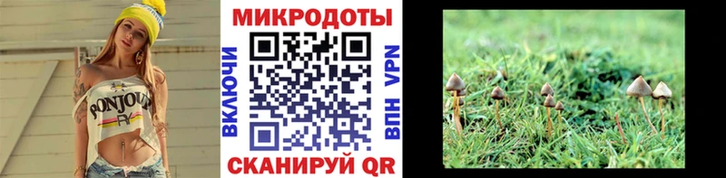 кракен зеркало  наркотики  Всеволожск  Псилоцибиновые грибы Cubensis 